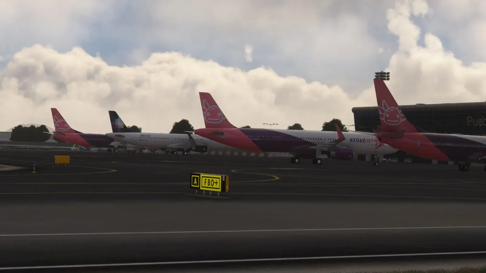 A row of Axolojet tails on the apron